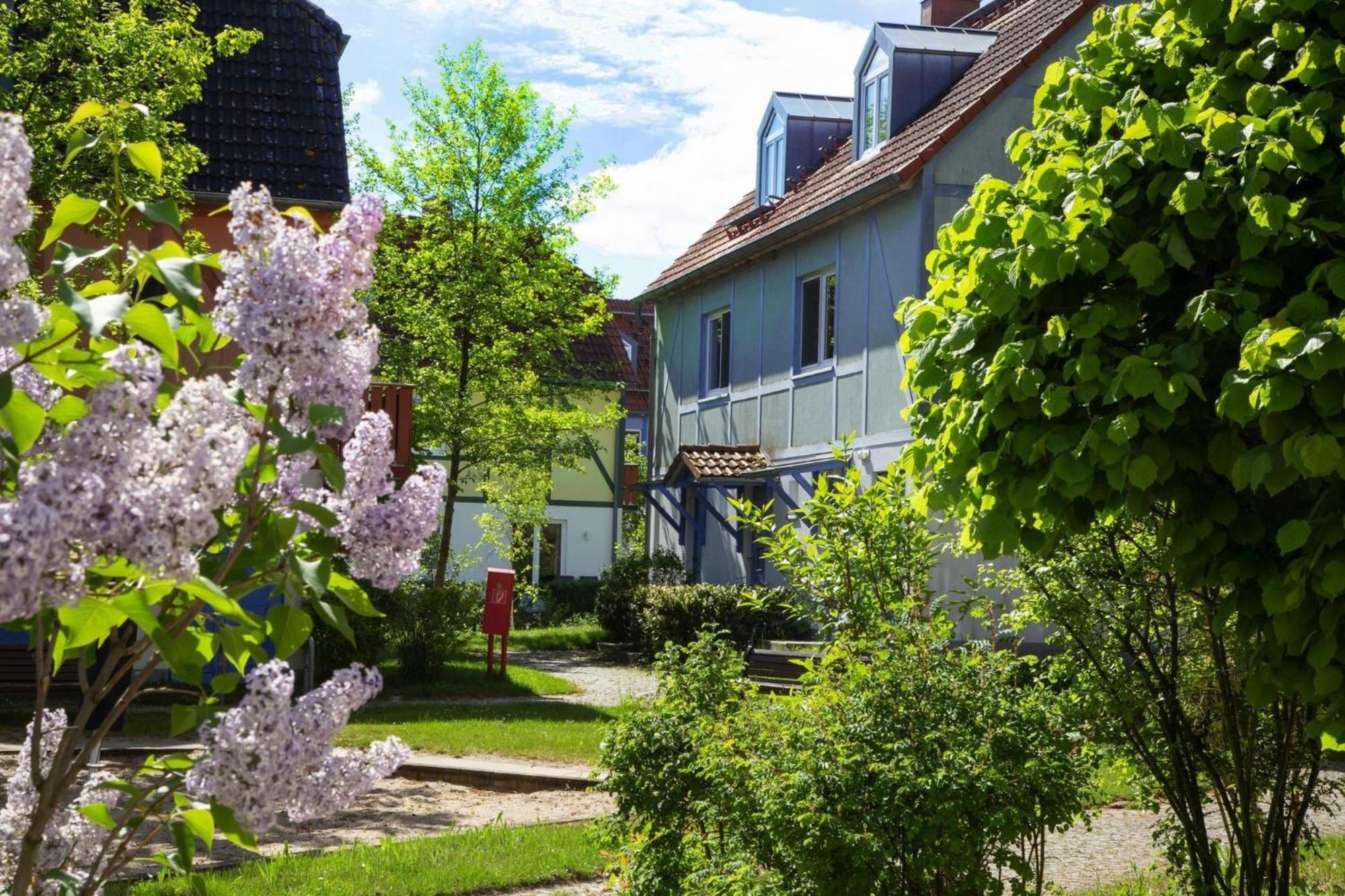 Holiday Complex Beech Resort Fleesensee G Hren Lebbin Göhren-Lebbin Eksteriør billede