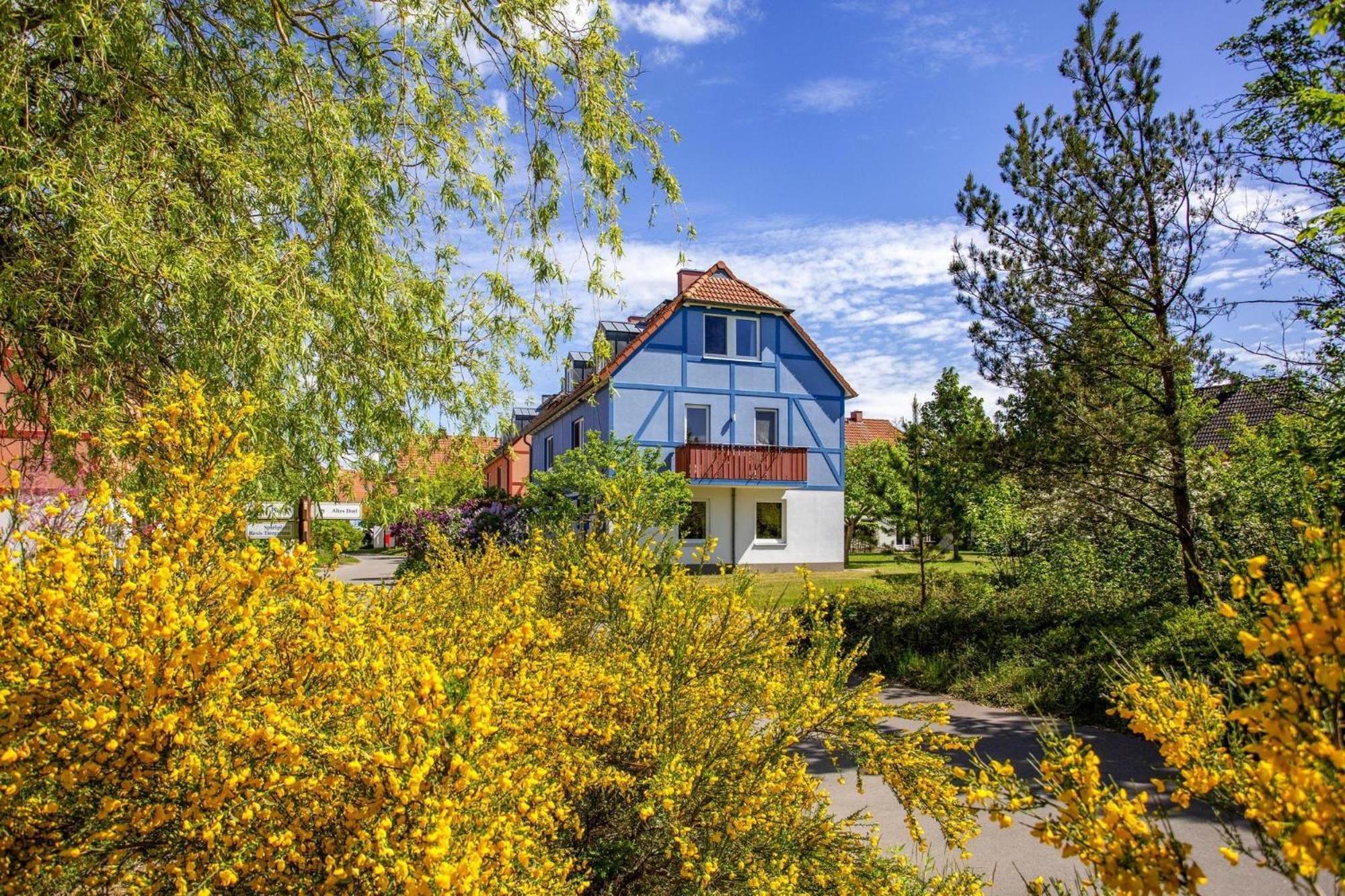Holiday Complex Beech Resort Fleesensee G Hren Lebbin Göhren-Lebbin Eksteriør billede